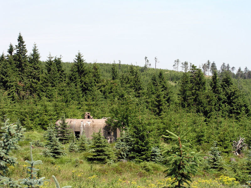 Charakteristika lesní správy Rychnov nad Kněžnou